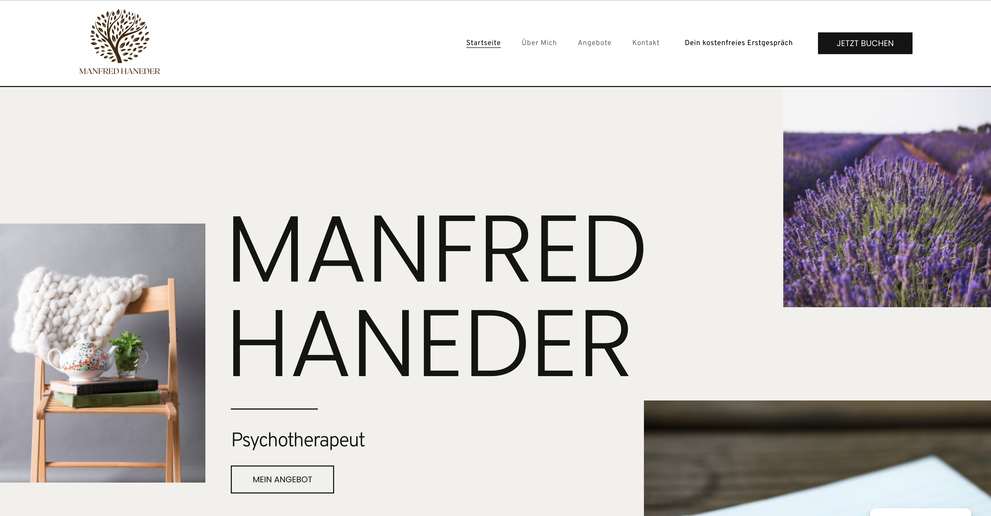 Projekte Manfred Haneder